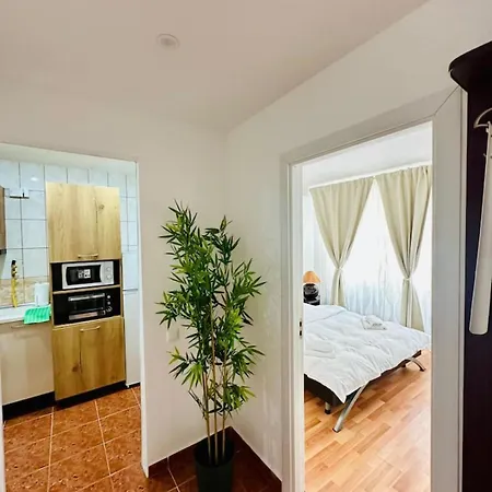 Apartment 79 Jewel Of Calea Victoriei - Cozy Flat - 1br